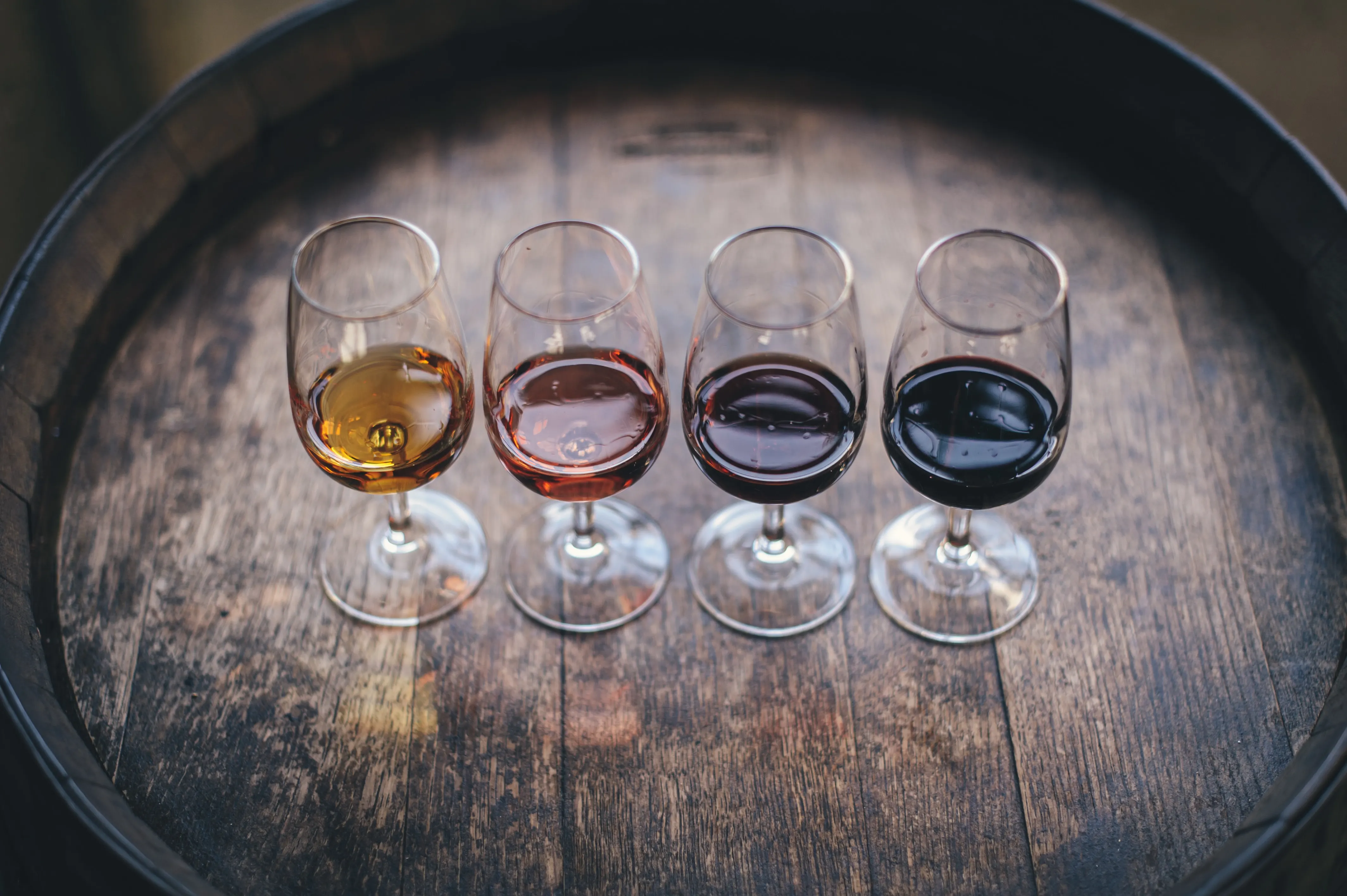 Cata de vino en Cádiz